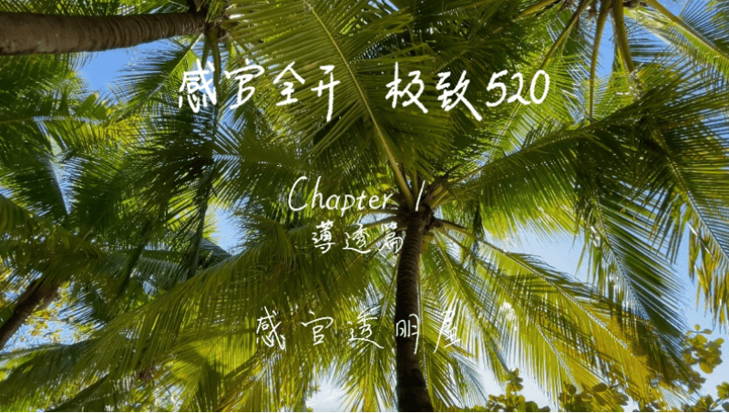 感官全开，极致520