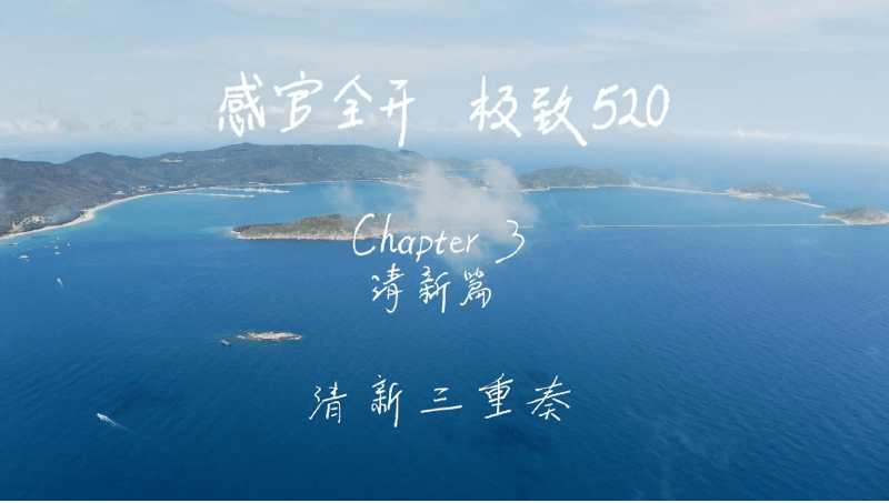 感官全开，极致520